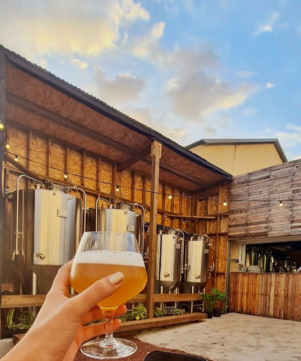 投料温度对啤酒质量的影响