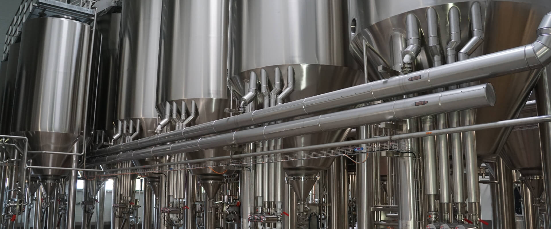 主发酵的工艺要点是什么？